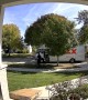Delivery Driver Drops Heavy Package