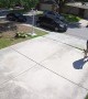 Bug Startles Man Doing Yard Work