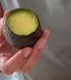Avocado Cutting Hack Keeps Fruit Green