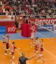Opossum Interrupts Brazilian Volleyball Championship