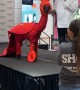 Llama Dressed as Lobster for Costume Contest