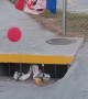 Clown in a Street Drain