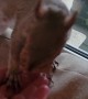 Squirrel Hides Walnut in Woman's Hand