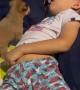Puppy Serves As Boy's Morning Alarm Clock