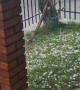 Heavy Hail Pelts Porch in Sarandi
