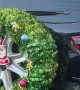 Spare Tire Become Christmas Wreath