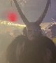 Krampus Parade in Munich