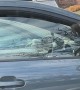 Squirrel Escaping Inside of Car