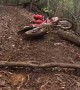Motorcycle Rider Wipes Out on Trail