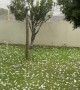 Golf Ball Sized Hailstorm in Brazil Causes Major Damage