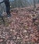 Dog Leaps Onto Mountain Biker