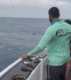 Close Call With a Blue Marlin Nearly Jumping in the Boat