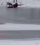 Icy Pond Dog Rescue