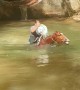 Horse Dives Into Deep Creek With Rider