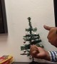 Coworkers Light Tiny Christmas Tree