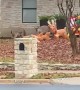 Deer Gang Up Against Reindeer Inflatables