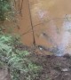 Man Flips Over Bike Trying to Drive Through Creek