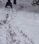 Box Sledding