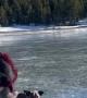 Siberian Husky Tries Ice Skating