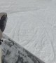Snowboarder Learns About Not Slowing Down in the Terrain Park