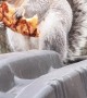 Chunky Squirrel Eating Pizza