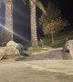 Skateboarder Falls Into a Rock