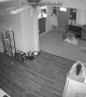 Security Camera Catches Little Girl's Faceplant