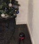 Mini Desk Vacuum Under the Office Christmas Tree