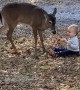 Toddler Loves Neighborhood Deer