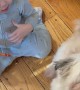 Baby Blesses Sneezing Dog
