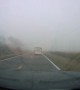 Florida Driver Attempts Dangerous Pass in Heavy Fog