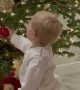 Toddler Tugs Christmas Tree Over