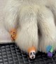 Groomed Dog Gets Halloween Nails