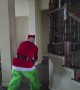 Grinch Creates Chaos at Family Christmas