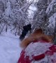Skiing With My Dog via His POV