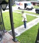 Delivery Driver Startled by Pocket Bully