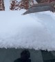 Guy Shovels Snow Off His BMW