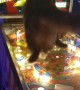 When Your Cat Loves Pinball