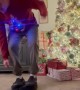 Holiday Version of Robot Vacuum Kickflip