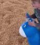 Boy Hops Toy Horse Head-First Into Corn