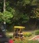 Cart Crashes Speeding Down a Hill