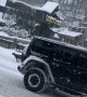Skier Pulled By Dogs Through Downtown Gatlinburg
