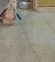 Smart Cat Plays by Herself