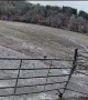 Tree Falling Causes Horse Spook Jumping Flip