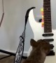 Gigi the Frenchie Playing Guitar