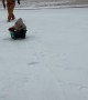Laundry Basket Makes Perfect Improvised Sled