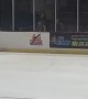 Ice Cat Runs Around Hockey Rink