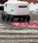 Delivery Robot Meet Cute