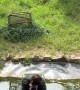 Woman Plays Fruit Catch With Chimpanzees