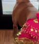 Belly Dancing Boxer Welcomes Her Dad Home